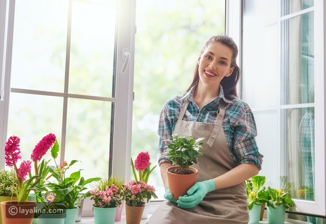 كيف تجملين بيتك بالزهور