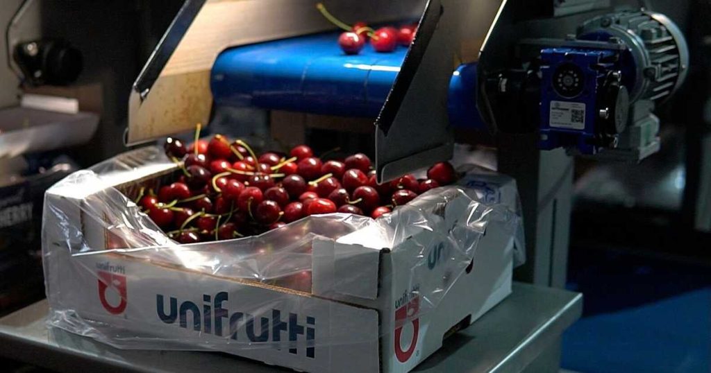 “يوني فروتي” تكشف عن استحواذات جديدة في أميركا اللاتينية