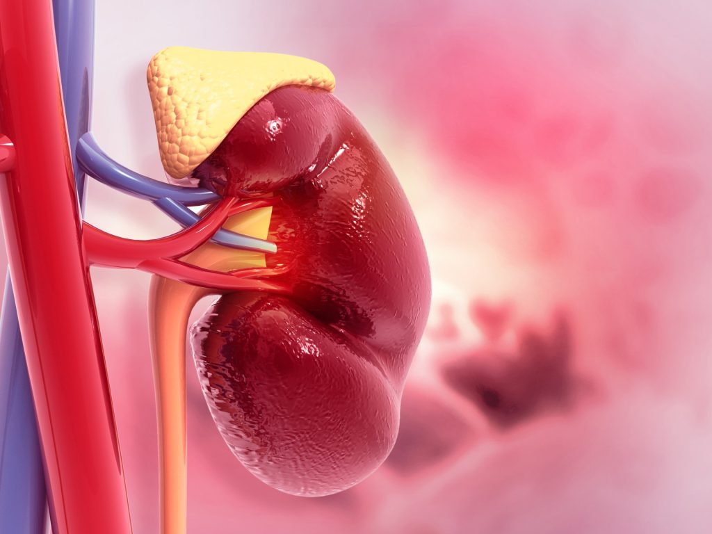 طريقة جديدة تكشف المعرضين لخطر تطور مرض الكلى المزمن