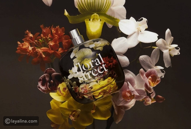 في يوم العطر دللي حواسك بأفضل عطور 2024