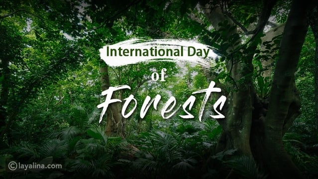 اليوم الدولي للغابات (International Day of Forests)