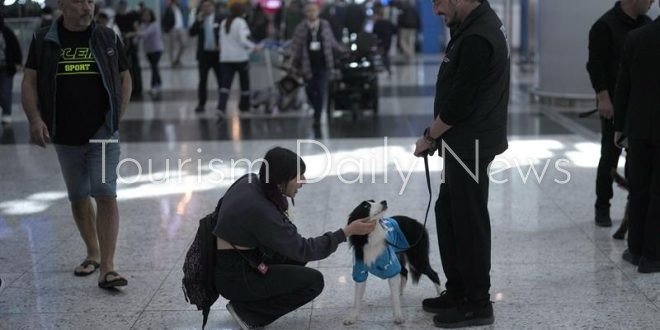 مطار إسطنبول يطلق مبادرة جديدة لتخفيف التوتر.. “كلاب ودية” في خدمة الركاب