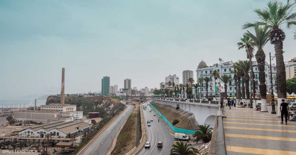 شراكة بين الجزائر وإيطاليا لإنتاج الحبوب والبقوليات