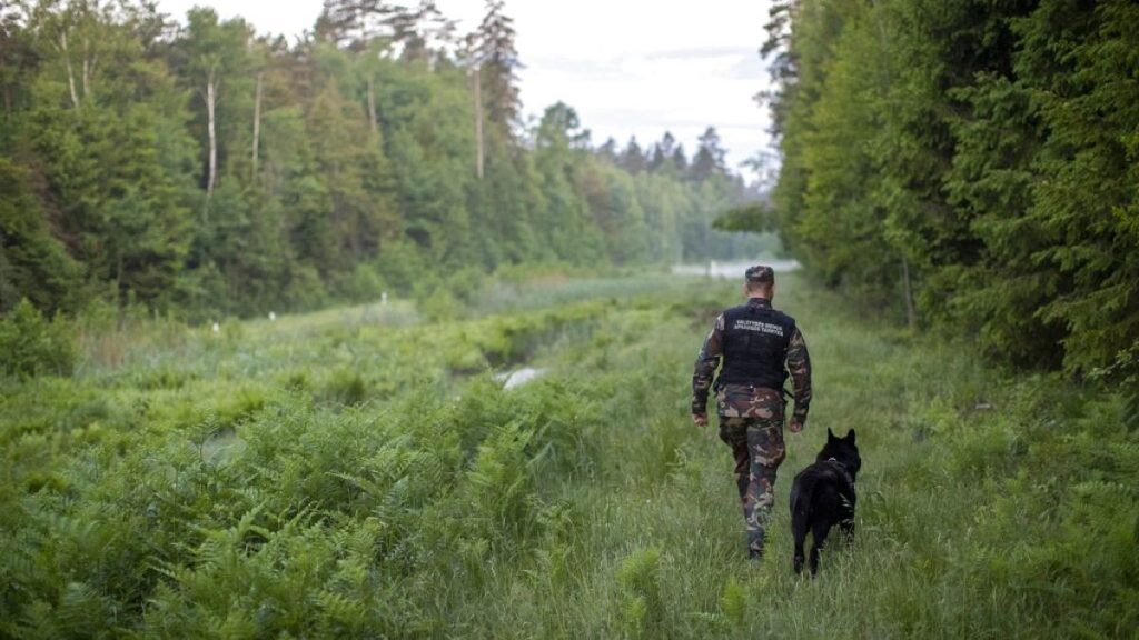 شاهد: مهاجرون يتسلقون سياجا على حدود بيلاروس أملا في الدخول إلى أراضي الاتحاد الأوروبي
