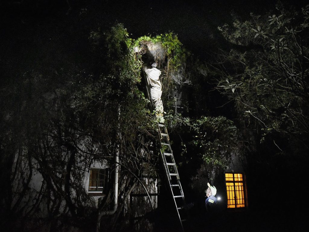 6 من 10.. هيمنة أفريقية على عمالقة منتجي الألماس