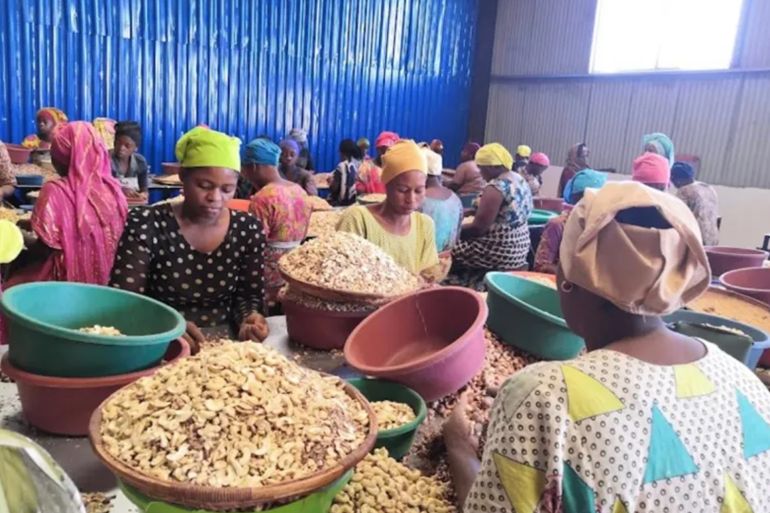 Workers at Mohamad El-Shafei’s cashew processing factory, Mayan Village, Mtwara region, Tanzania @egab.co