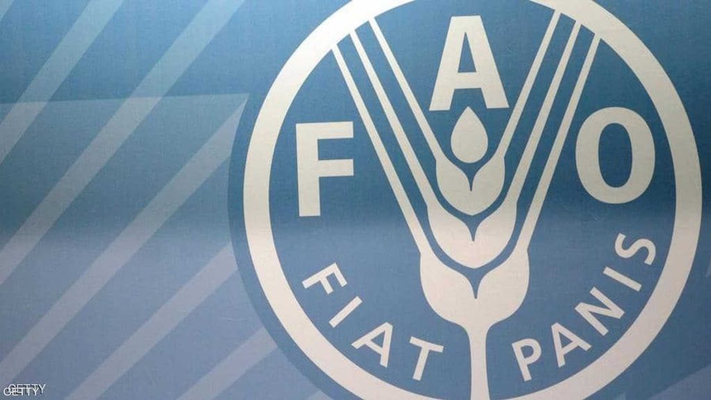 الفاو تتوقع ارتفاع فاتورة استيراد الأغذية العالمية بـ8%