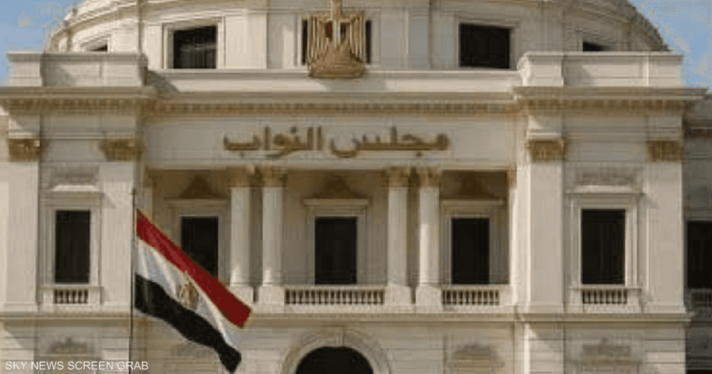 إلغاء بعض النتائج.. أول تعليق للهيئة الوطنية للانتخابات بمصر