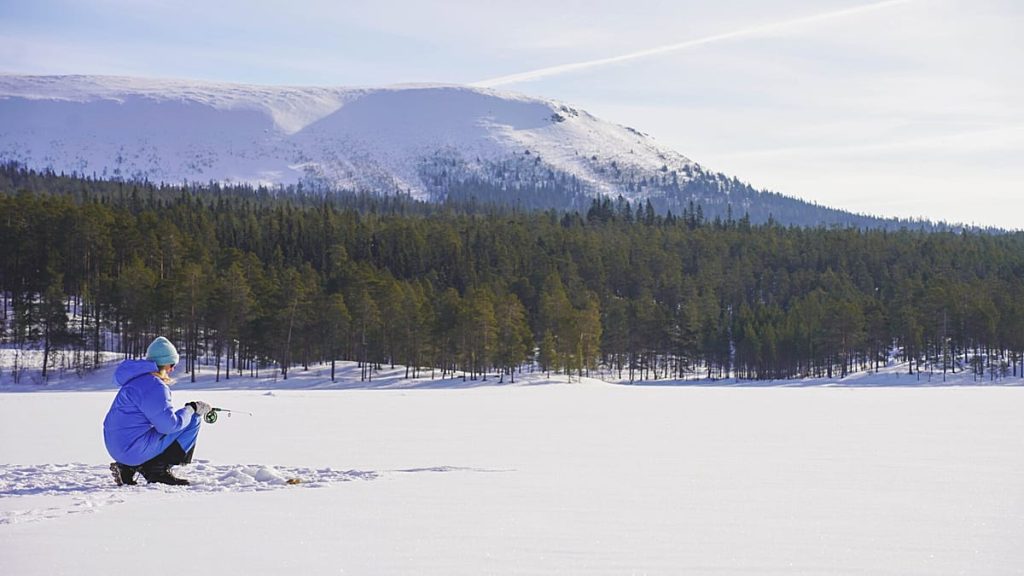 السماء المظلمة وجداول السفر الخالية: لماذا تريد السويد من المسافرين تقبّل “الملل”؟