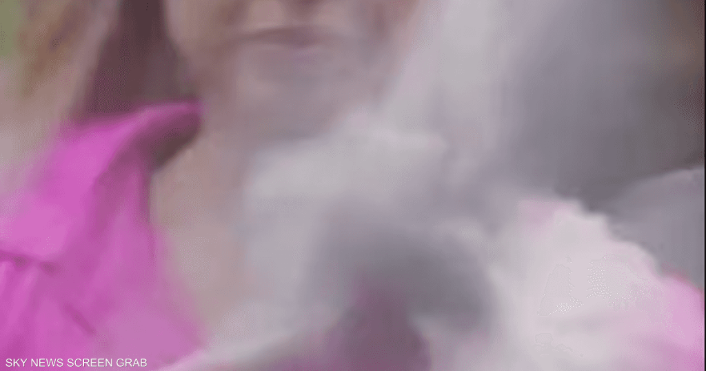 فيديو.. طائر يصطدم بوجه مراسلة تلفزيونية على الهواء