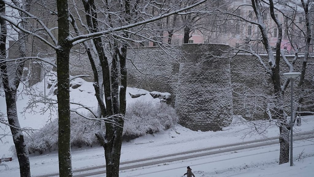 فيديو- الثلوج تغمر تالين قبيل رأس السنة وسط تحذيرات من صعوبة التنقل