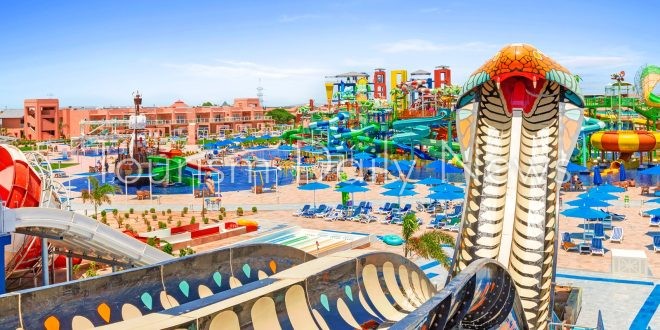 “نيفرلاند”.. تطفئ شمعتها الثالثة و”الكينج كوبرا” تخطف الأنظار