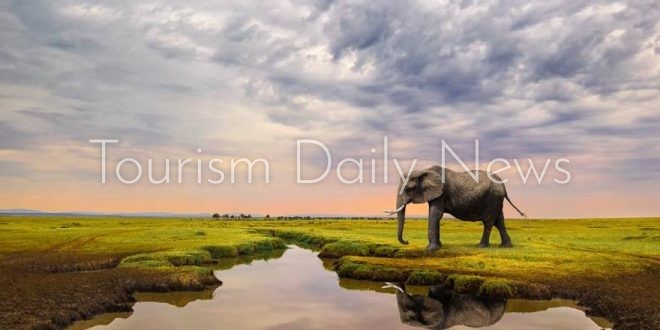 المغرب ضيف شرف معرض الأسواق السياحية الإفريقية بدكار