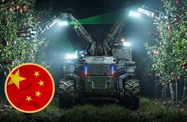 حصاد آلي مستمر.. كيف تغيّر الروبوتات وجه الزراعة الصينية!