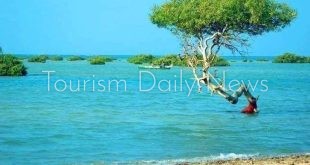 محمية وادي الجمال شواطئ بكر وكنوز بحرية نادرة تجذب السياح الأوروبيين