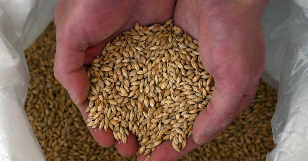 غولدمان ساكس يحذر من قفزة في أسعار الحبوب بسبب الحرب