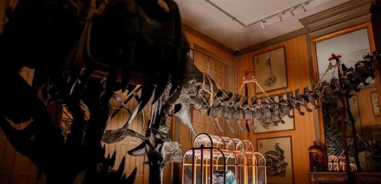 منقرضة منذ ملايين السنين… وتعود اليوم في حقيبة فاخرة!