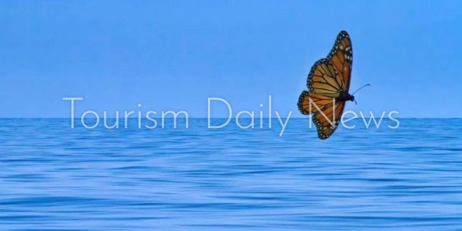 “السيدة المطلية” تطير 4200كيلومتر في رحلة دون توقف فوق الأطلسي عبر 3قارات