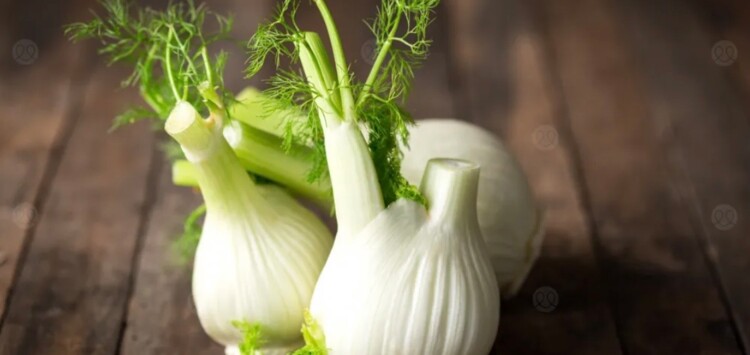 الشومر… مفتاح ضبط السكر والتمثيل الغذائي