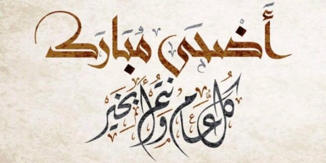 أيقونات لا تموت.. قائمة الأفلام والمسرحيات التي تجمع الأجيال في عيد الأضحى المبارك