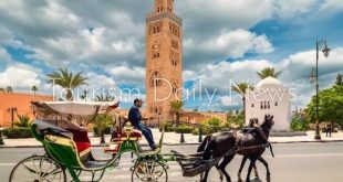 Wego تكشف أبرز اتجاهات السفر الخارجي للمسافرين مع اقتراب عطلة عيد الأضحى