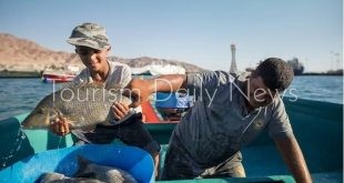 العقبة تستعيد أجواء البحر .. انطلاق مهرجان العودة للصيد بعد توقف 4 أشهر