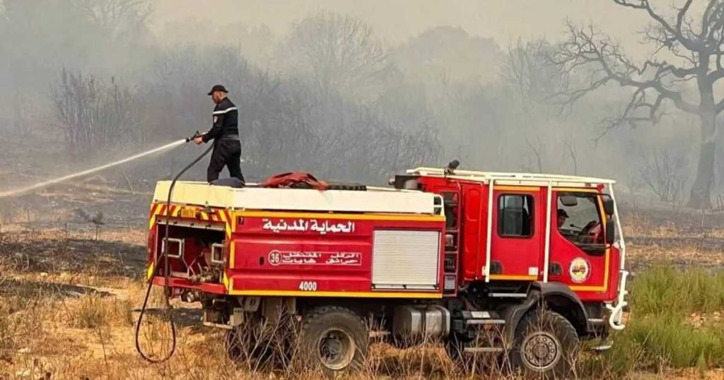 الجزائر.. إخماد 110 حرائق من أصل 174 خلال آخر 24 ساعة