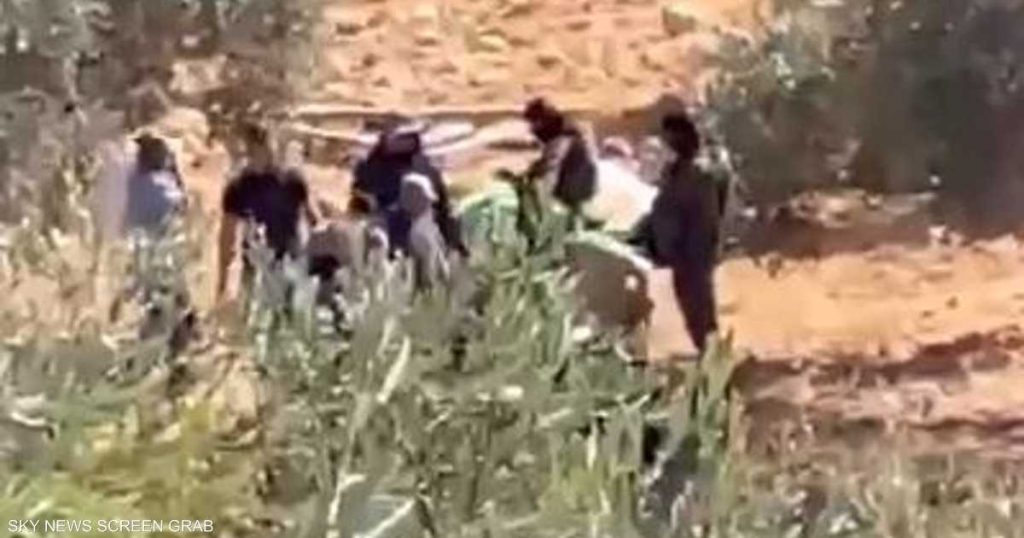 موسم الزيتون تحت الحصار.. اعتداءات المستوطنين تتواصل في برقا